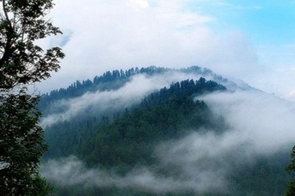 https://www.retreathotels.pk/nathiagali/nathiagali-the-land-of-paradise/14