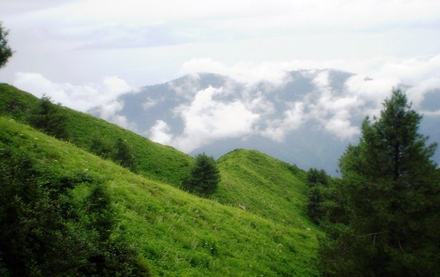 http://www.retreathotels.pk/nathiagali/natural-beauty-of-galiyat-and-nathiagali/19