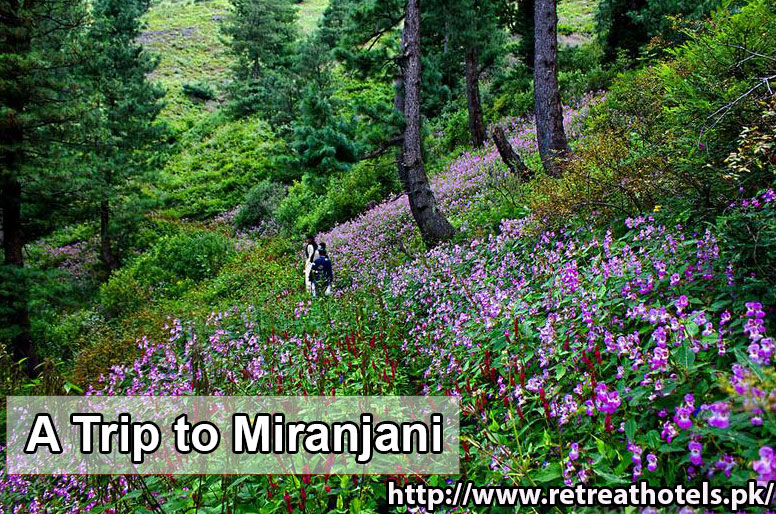 http://www.retreathotels.pk/nathiagali/TriptoMiranjani/42